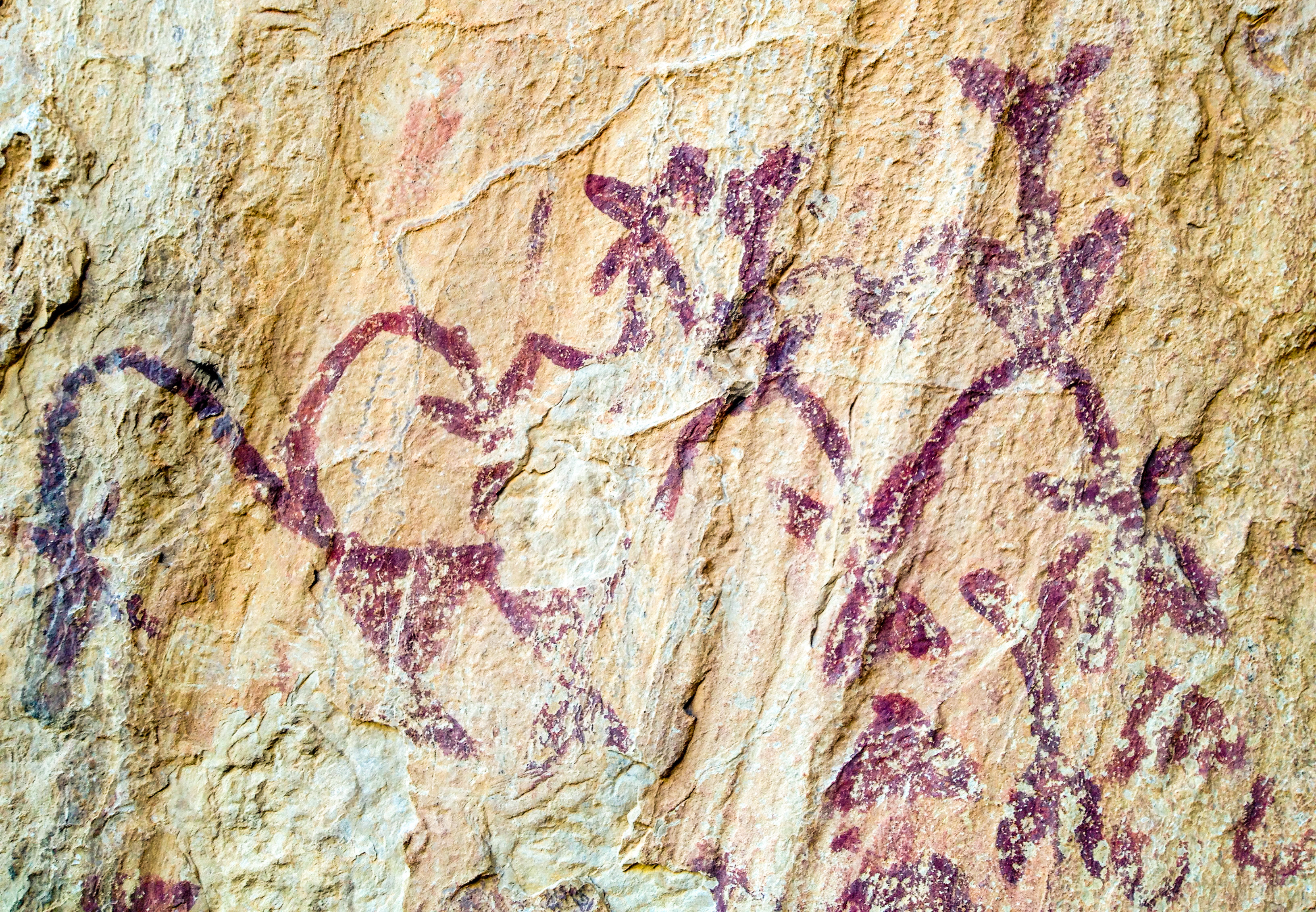 Representación de la genealogía de un grupo familiar en Los Letreros.